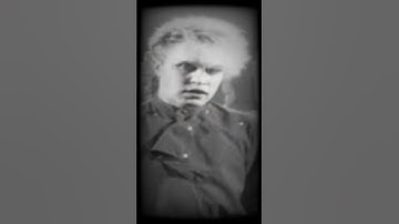 Thumbnail of Flock of seagulls