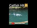 Catfish Hit Topwater 🎣 #fishing #catfish #shorts