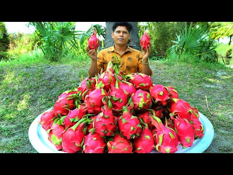 DRAGON FRUIT MILK SHAKE | Healthy Milkshake Recipe | Village Food Channel