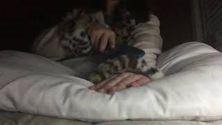 Asmr Unusual Visual Trigger 10 Minute Tinglestrigger Test