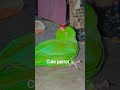 #parrot #talkingparot #birds #1000subscriber #birds