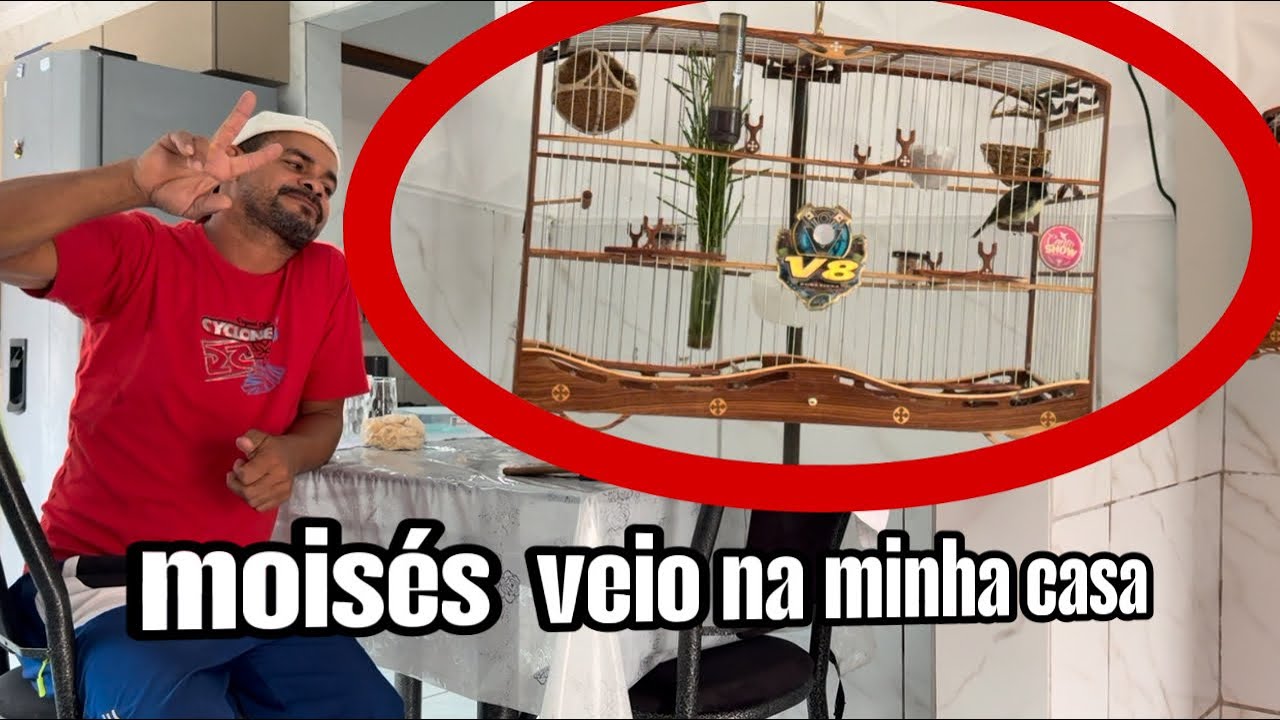 MOISÉS QUER O PAPA CAPIM V8 De VOLTA
