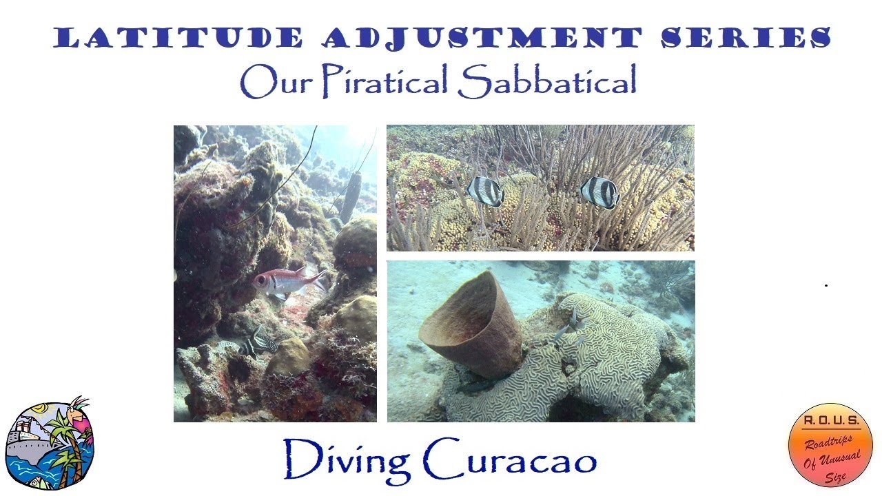 Episode 55:  Diving Curacao's Pierbaai Reef