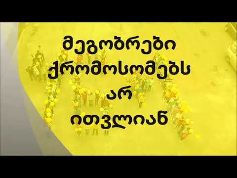თბილისის N108 საჯარო სკოლაში მოსწავლეებმა აქცია- პერფორმანსი - „ 46+1“ გამართეს