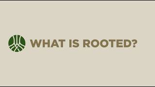 What is Rooted