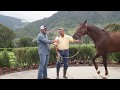 FINCA TVCap16 Haras Cerro Punta Caballos Pura Sangre y Copa Panamericana de Rodeo 2017