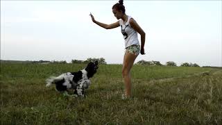 Tricks Training With Dita
