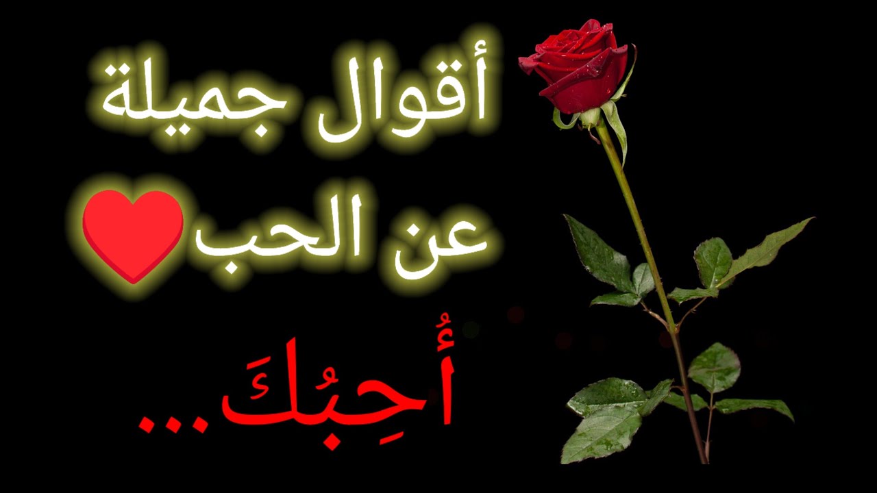 أقوال وحكم عن الحب♥️ #حب #علاقة #عاطفة #عشق #خواطر #حالات