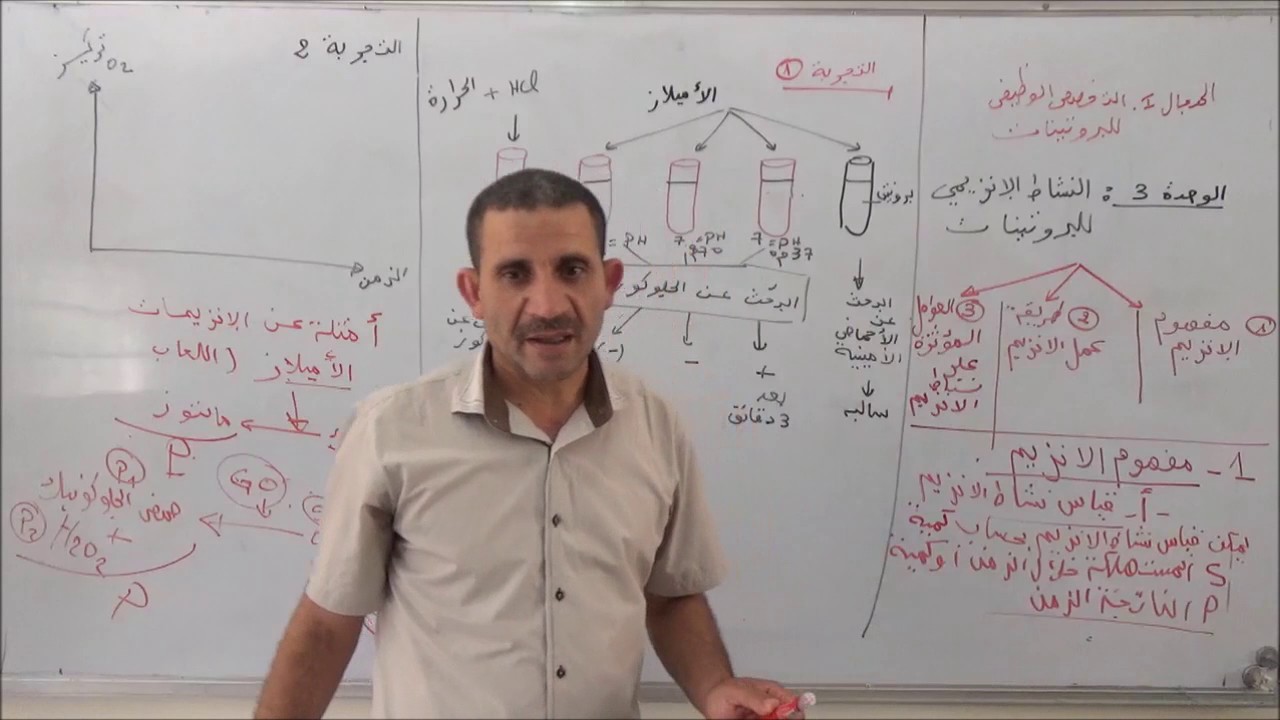 المجال 1 الوحدة 3 النشاط الأنزيمي للبروتينات