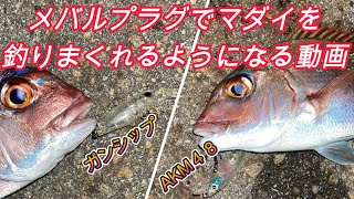 メバル用プラグやトラウト用スプーンでマダイ狙い【SPM65、AKM48、ガンシップ、心】ライトゲームマダイング