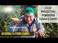 Ciclo Produttivo Pomodoro Corto e Lungo