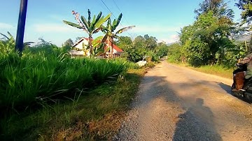 GULU PEDOT - GERIGIS - REHANA - Album Dini Kurnia - Koplo Banyuwangi Trending 2025