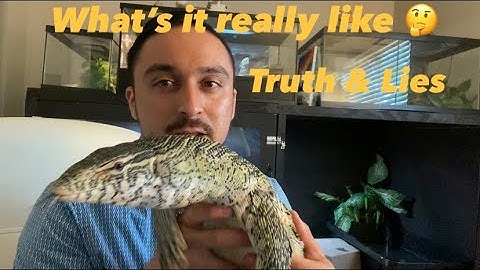 What’s it really like owning a Nile Monitor?  🤔😬