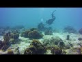 Man stuns girlfriend with underwater proposal