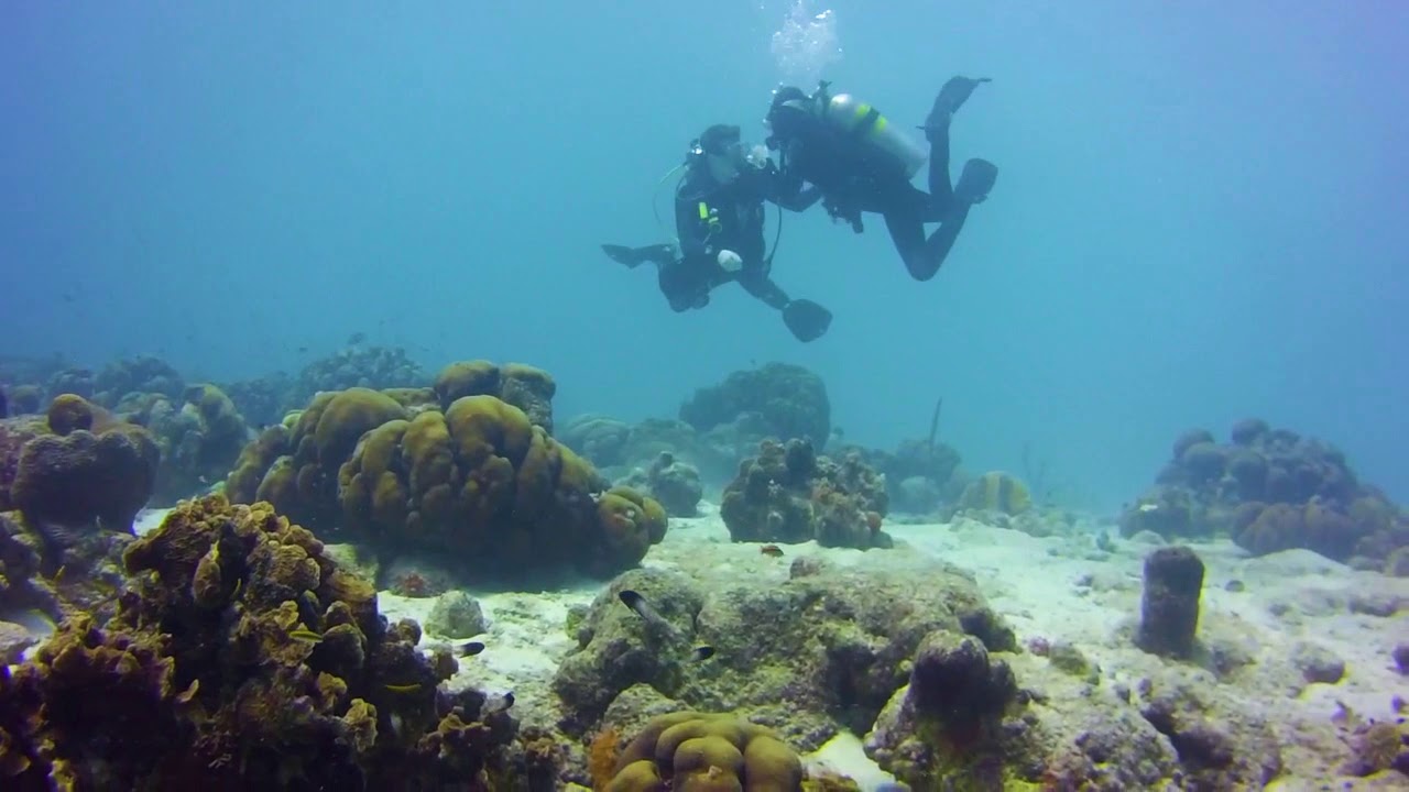 Man stuns girlfriend with underwater proposal