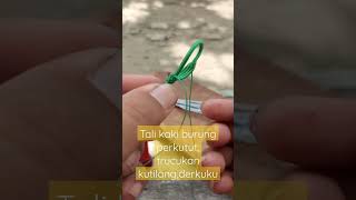 Tali kaki burung perkutut trucukan kutilang dan derkuku