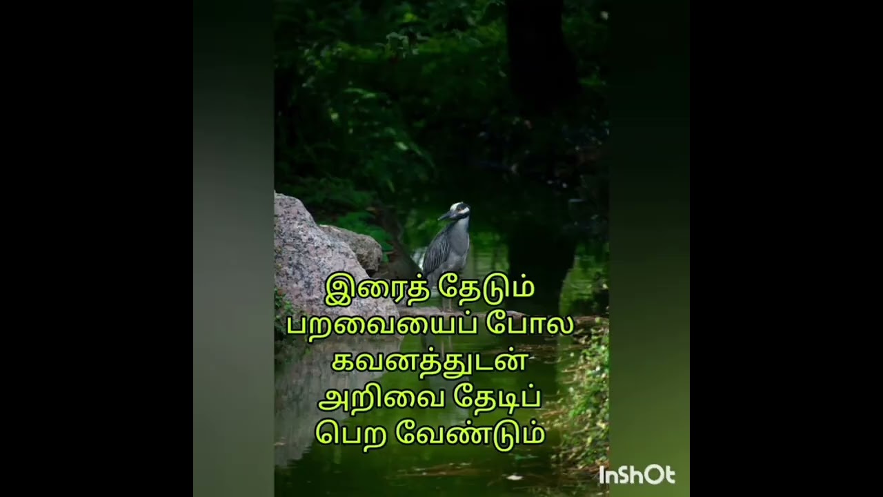 Enhance Quotes in tamil / நிலன் கனகராஜ்