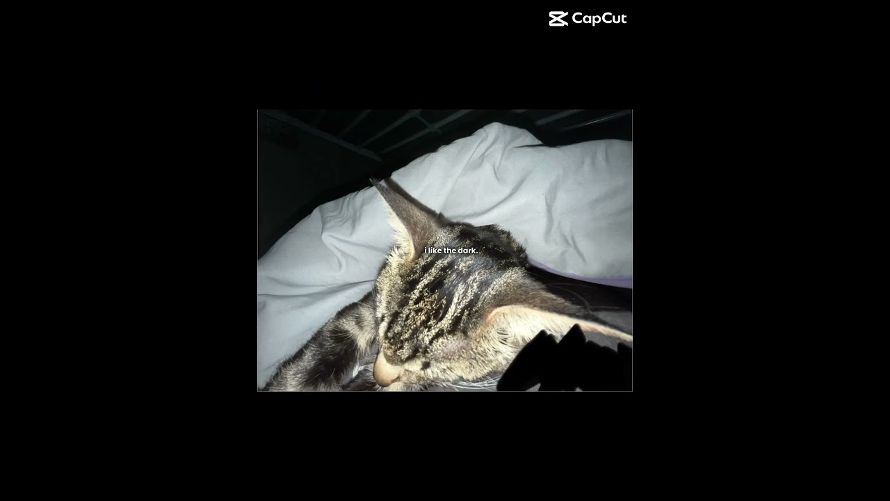 i liek the dark