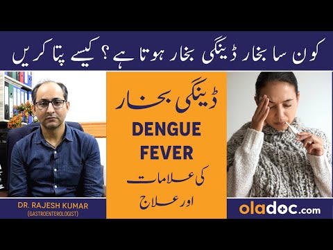 Dengue Ka Ilaj - Dengue Fever Symptoms Treatment Urdu- Dengue Bukhar Kya Hota Hai - Dengue Ki Alamat thumbnail image