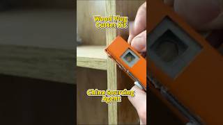 Hide screws with a matching wood plug #woodworkingtools #cabinetmaking #chinasourcingagent