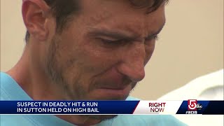 Sutton hit-and-run suspect held on high bail