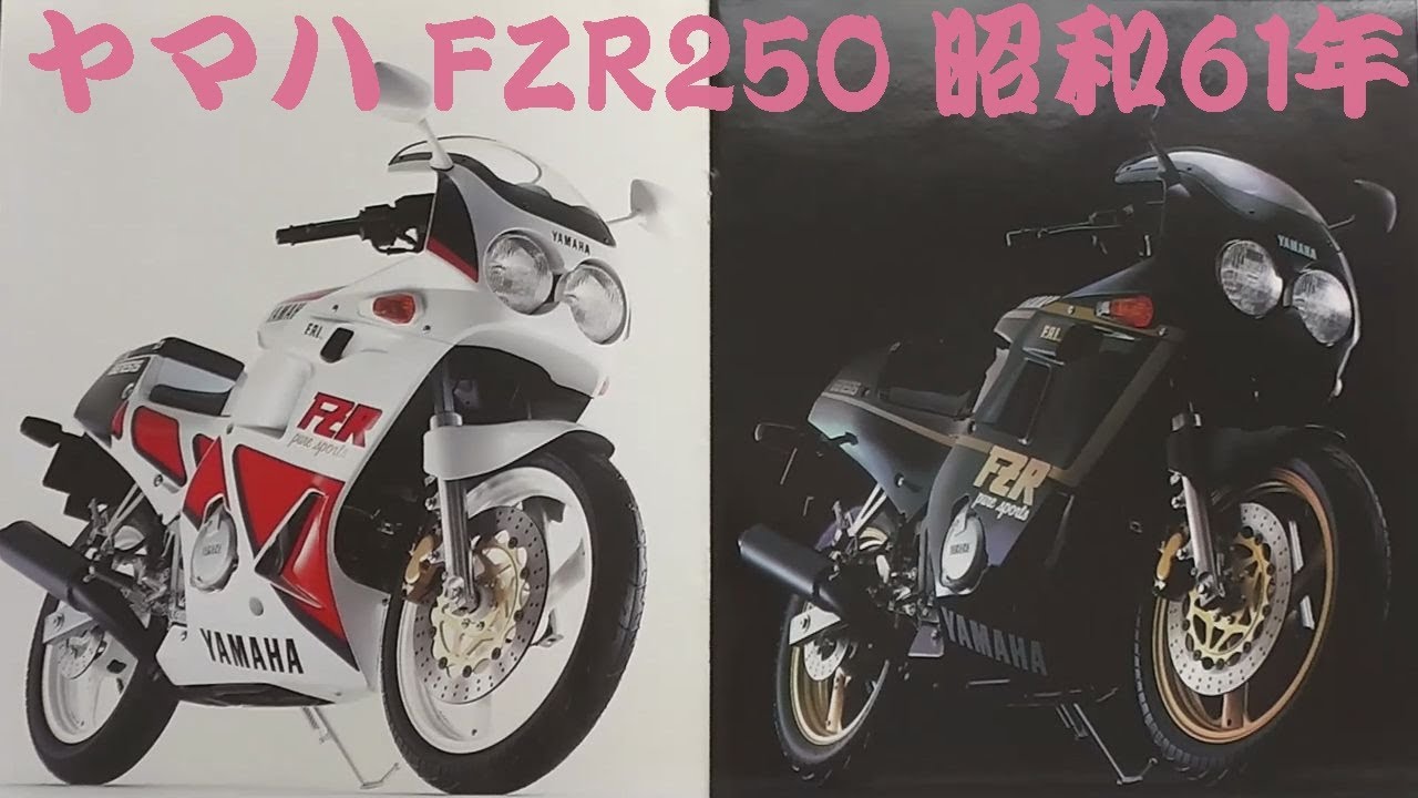 FZR250