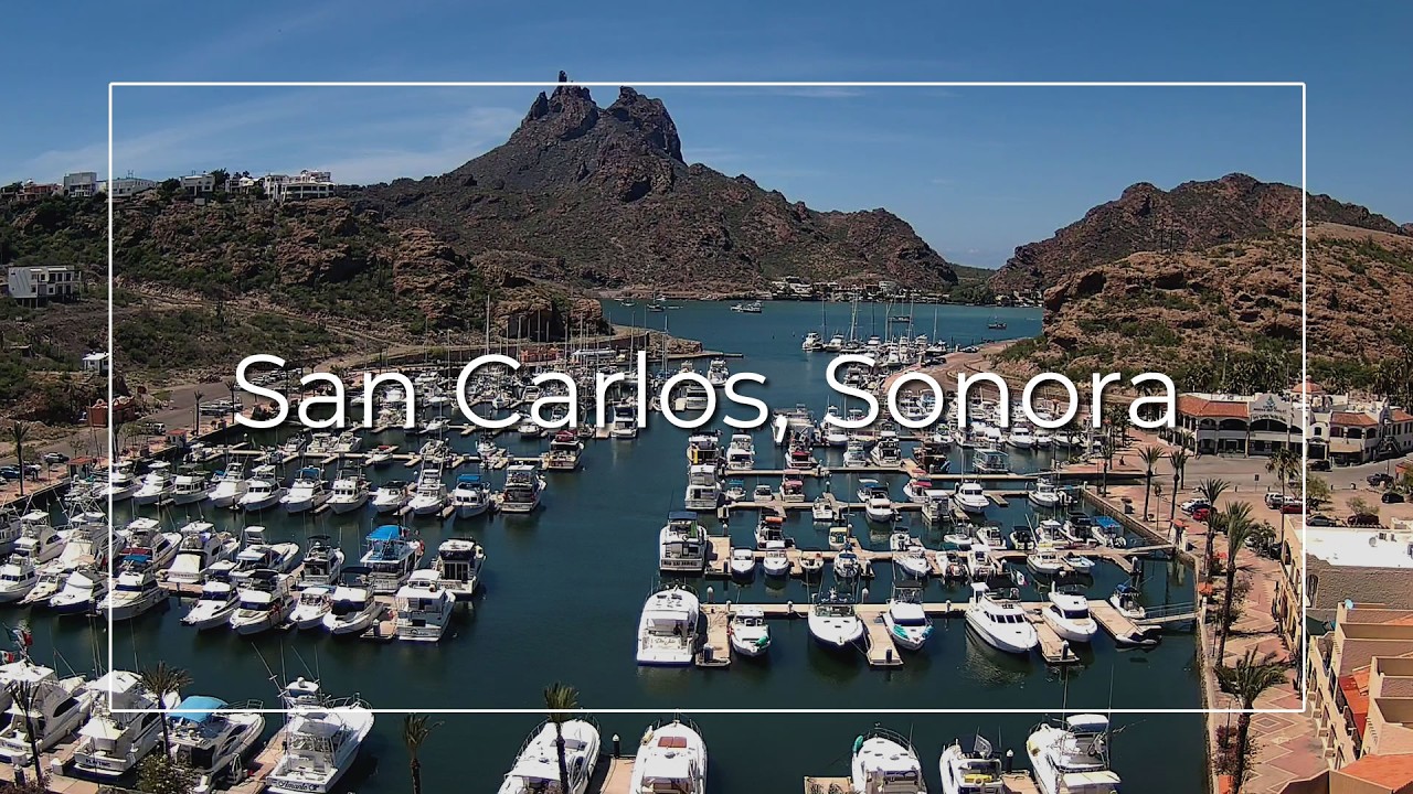San Carlos Marina, Sonora Live — San Carlos, Sonora live camera thumbnail