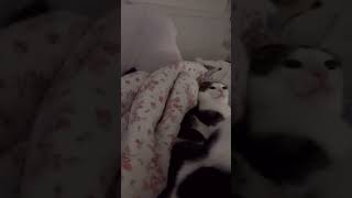 Elisa is at fault part 3