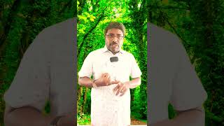 கர லககனததறக 6ம இடததல