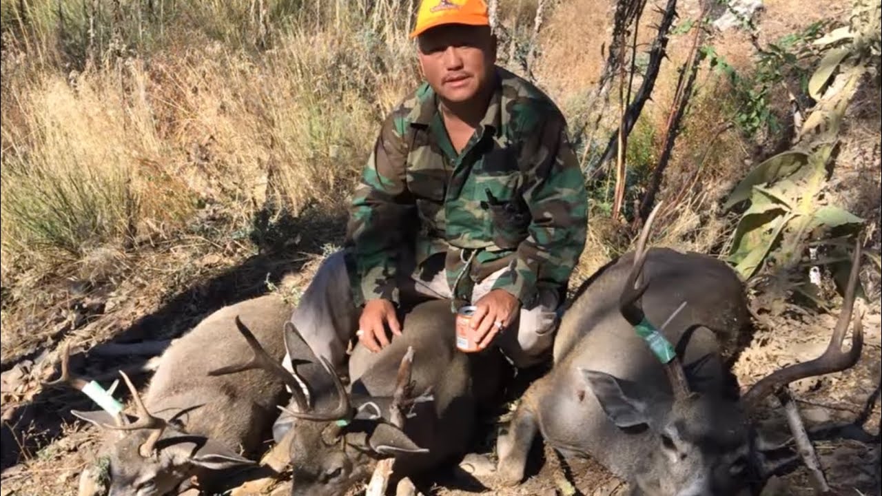 Hmong California Hunting 2015 