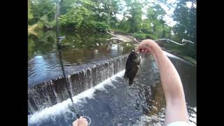 Raritan River Smallmouth Bass