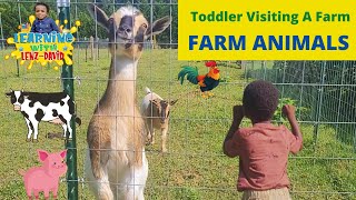 Farm Animals |Toddler Visiting a Farm |Toddler Afraid of Farm Animals