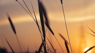 Ashkira   Place of Light 432 Hz