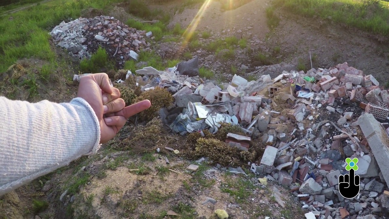 MOTHER FLOWER - YouTube