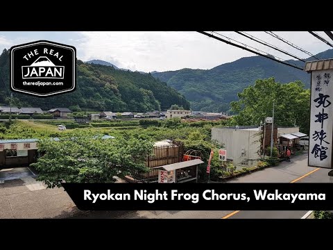 Ryokan Night Frog Chorus, near Ryujinmura, Wakayama Prefecture | The Real Japan | HD
