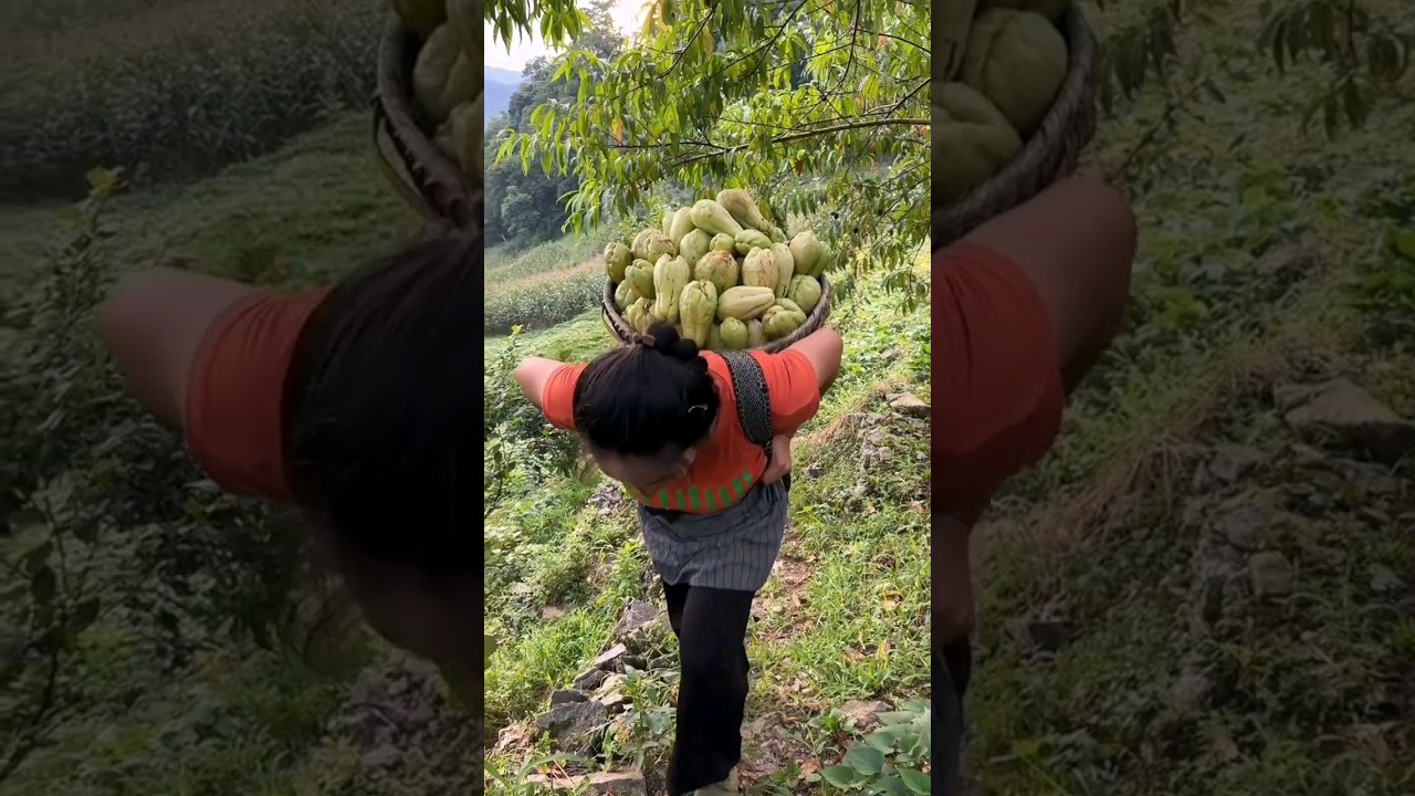 Making fresh pig food every day 