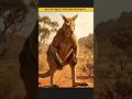 Ancient Predators That Lived Before Modern Animals