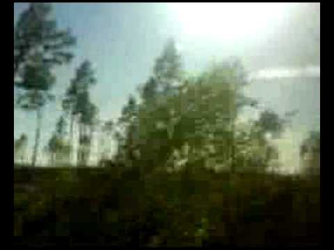 Watch The Field - Everday on YouTube Watch The Field - Everday on YouTube