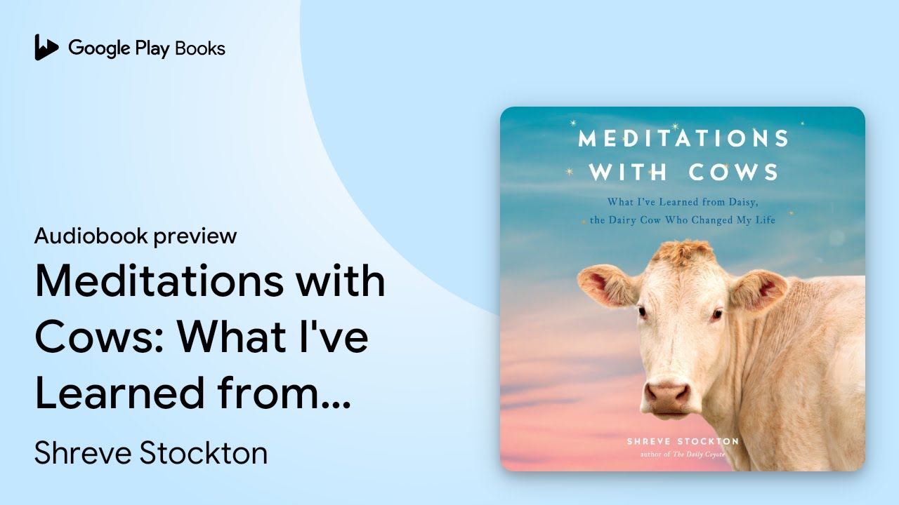 Meditations With Cows What Ive Learned From By Shreve Stockton 