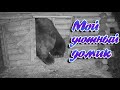 Навожу уют в своем домике🐻🏡