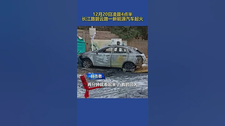 近日，郑州一新能源汽车充电时突然起火，友情提醒大家：充电时不要坐在车里！ - 天天要闻