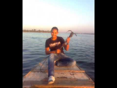 هانى راشد محمد