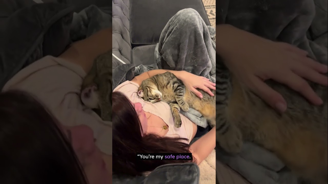 Why Cats Sit With Their Back To You 🙈❤️ (It’s Not What You Think)