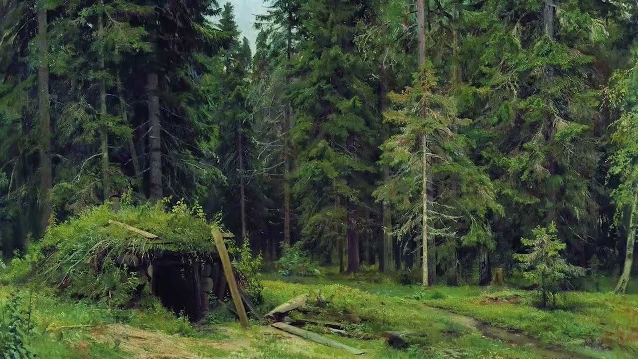 Истина скрывается в лесу