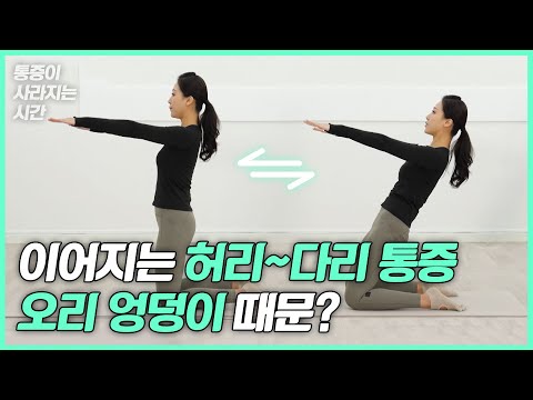[나를 위한 매일 수업ㅣ통증이 사라지는 시간] Ep51. 허리, 다리 통증에 좋은 ‘이 운동’