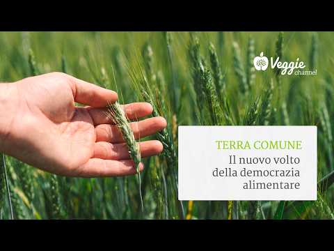 Common Earth: The New Face of Food Democracy
