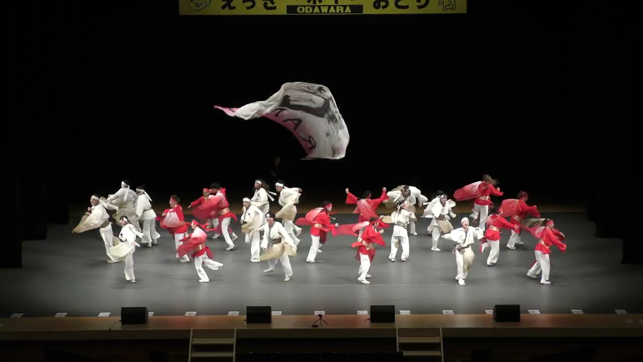 4K]須賀IZANAI連 関東 ＆ 相模RANBU○( ODAWARAえっさホイおどり 2025