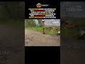 Russian Soldier Tracked by Ukrainian FPV Drone #shorts