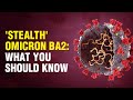 Covid: 'Stealth' Omicron variant BA2 is now globally dominant | WION Originals - WION