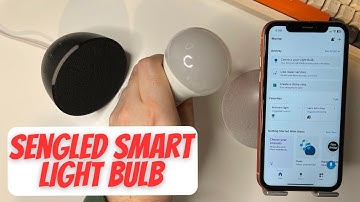 How To Set Up Sengled Smart Light Bulbs with Alexa